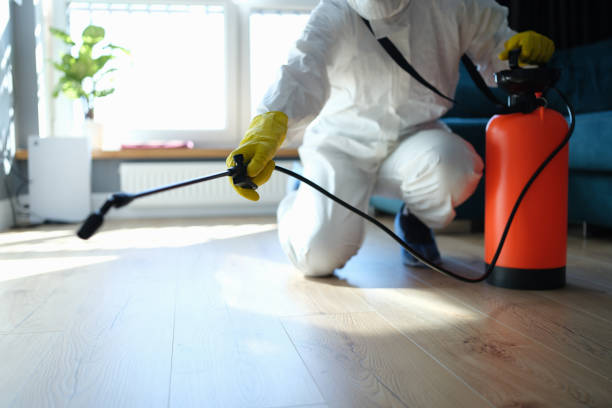 Reliable Infectious Disease Decontamination contractor in Onyx, CA by Trauma Clean Pros